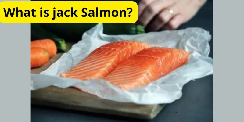 What is jack Salmon?